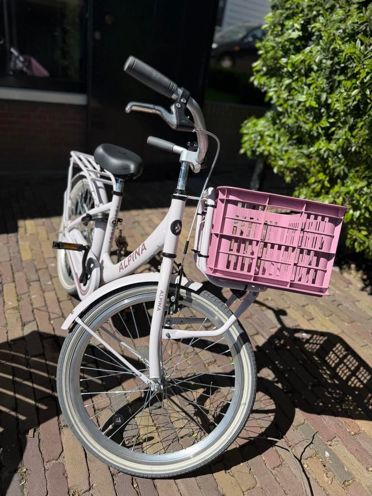 Alpina cargo meisjesfiets 22 inch - Nieuwstaat, Ophalen of Verzenden, Zo goed als nieuw, Terugtraprem, 22 inch