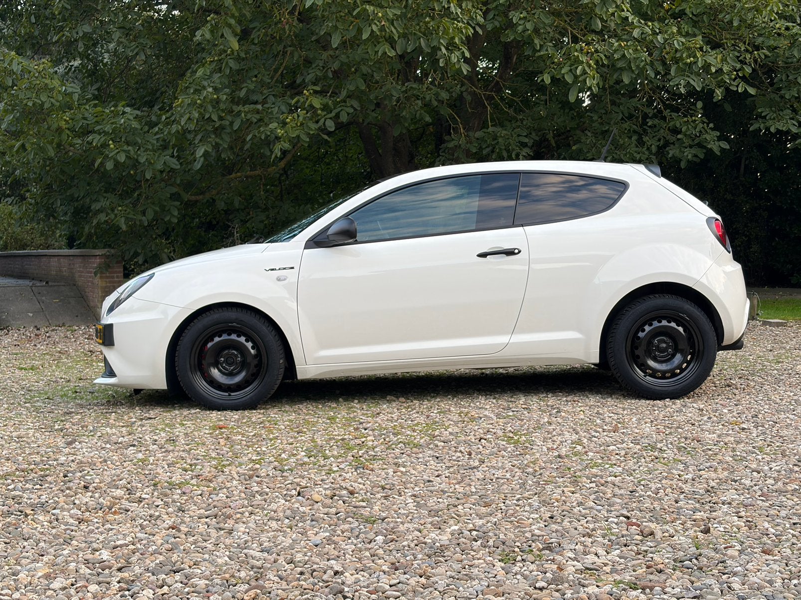 Alfa romeo mito 4x98 58,1 16 vredenstein 195-55-16 snowtrac, Auto-onderdelen, Ophalen, 16 inch, Nieuw, Winterbanden