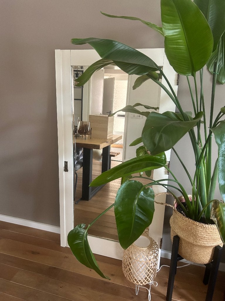 Vintage Spiegel, Huis en Inrichting, Ophalen, Gebruikt, 100 tot 150 cm, 75 tot 100 cm