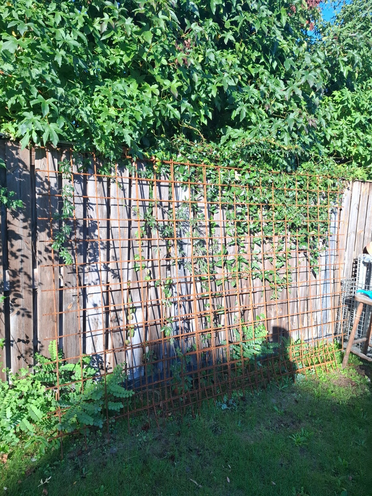 Bouwstaalmat betongaas 8mm draad, 150x150mm maaswijdte, Ophalen, Nieuw