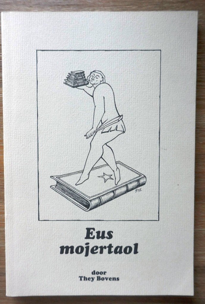 Eus mojertaol/Kennismaking met Maastricht en 't Mestreechs, Boeken, Ophalen of Verzenden, 20e eeuw of later, Gelezen