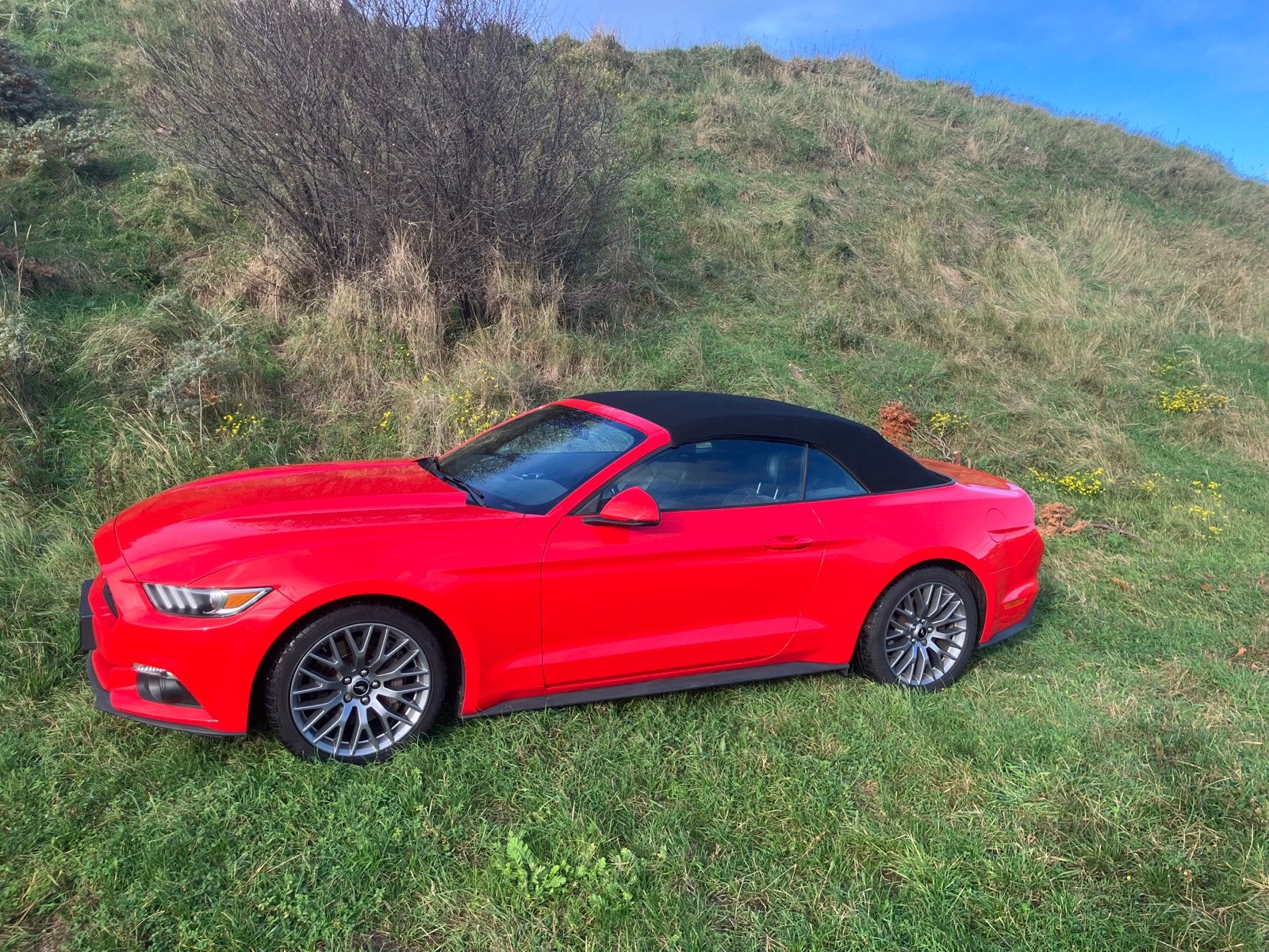 Ford Mustang 2.3 Ecoboost Convertible 2016 Rood, Auto's, Ford, Particulier, Mustang, Benzine, E, Cabriolet, Handgeschakeld, Geïmporteerd