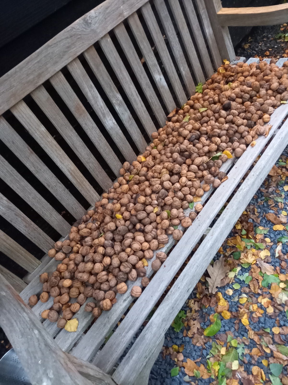walnoten vers. 11 kg, Diversen, Ophalen