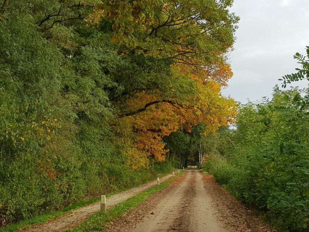 Foto 18 van Rolstoeltoegankelijke bungalow op landgoed, 30okt-6nov vrij!