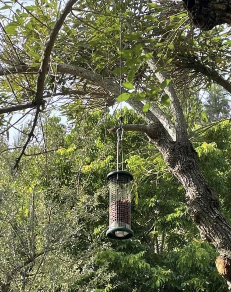 Vogelvoederhuisje voor in de tuin diverse terracotta metalen, Ophalen of Verzenden, Zo goed als nieuw