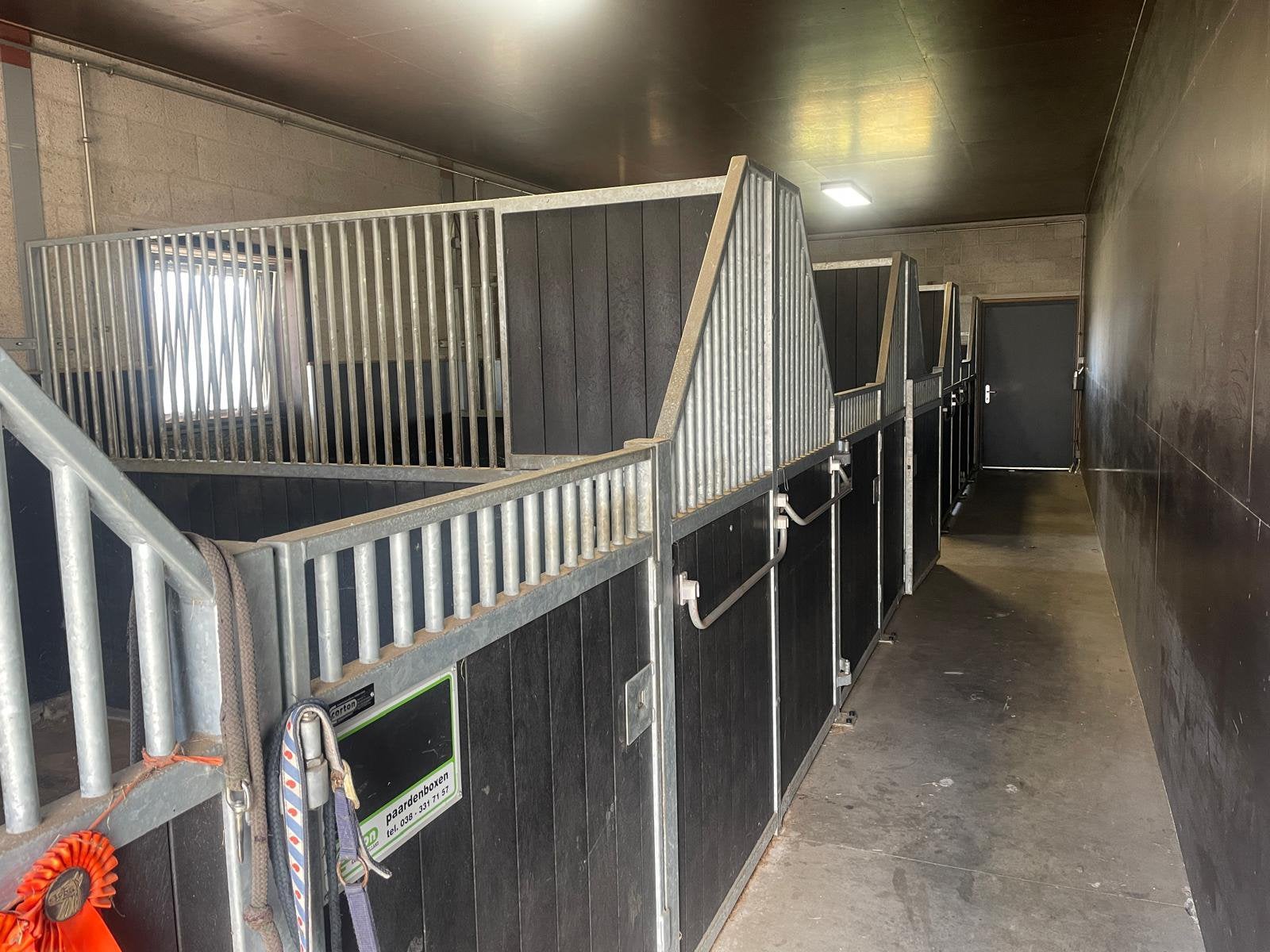 Pensionstalling/weidegang (1 paard/pony) te Andijk, Dieren en Toebehoren, Stalling en Weidegang
