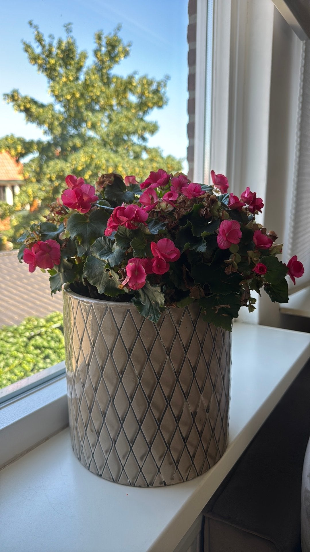 Bloempot, Ophalen, Zo goed als nieuw
