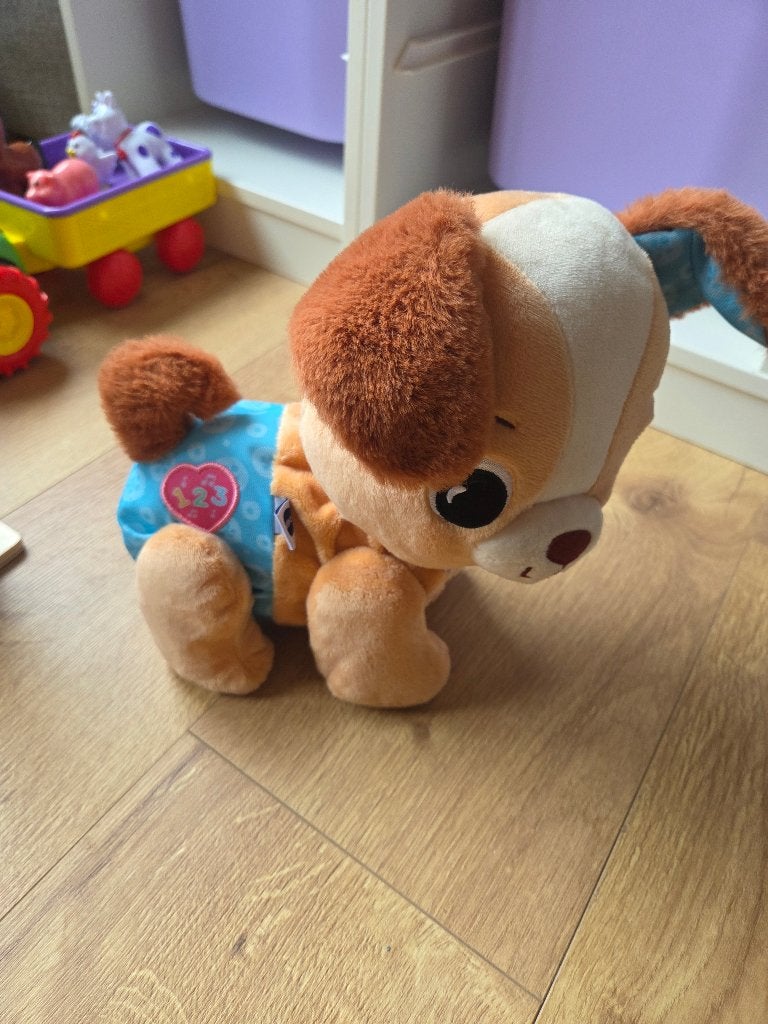 Speelgoed hondje vtech, Ophalen, Zo goed als nieuw, 6 maanden tot 2 jaar