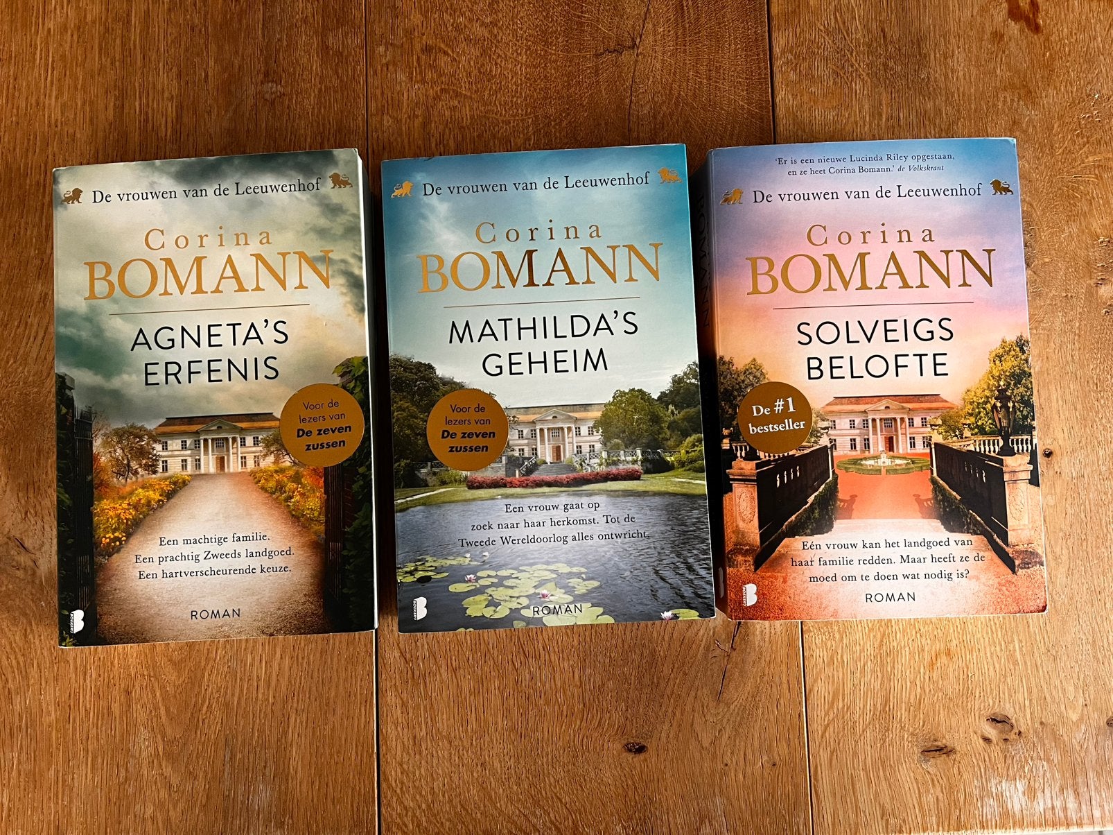 De vrouwen van de Leeuwenhof / Corina Bomann, Boeken, Chicklit, Ophalen of Verzenden, Zo goed als nieuw