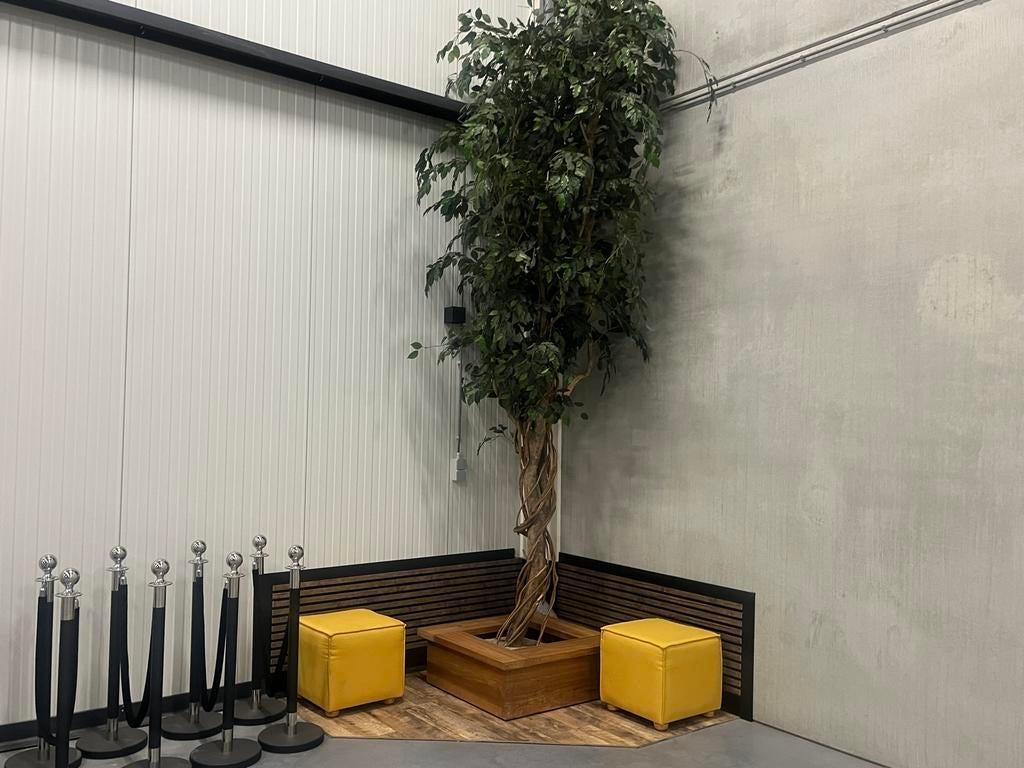 Grote Kunstboom 350cm+ met Mahonie Houten Boombak, 200 cm of meer, Volledige schaduw, Overige soorten, Ophalen of Verzenden