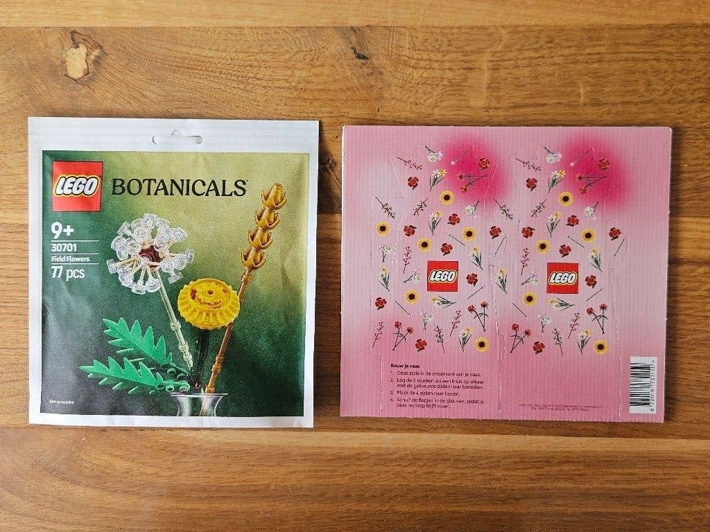 Lego Botanicals set 30701 Field Flowers, inclusief vaas, Overige thema's, Lego, Nieuw, Ophalen of Verzenden