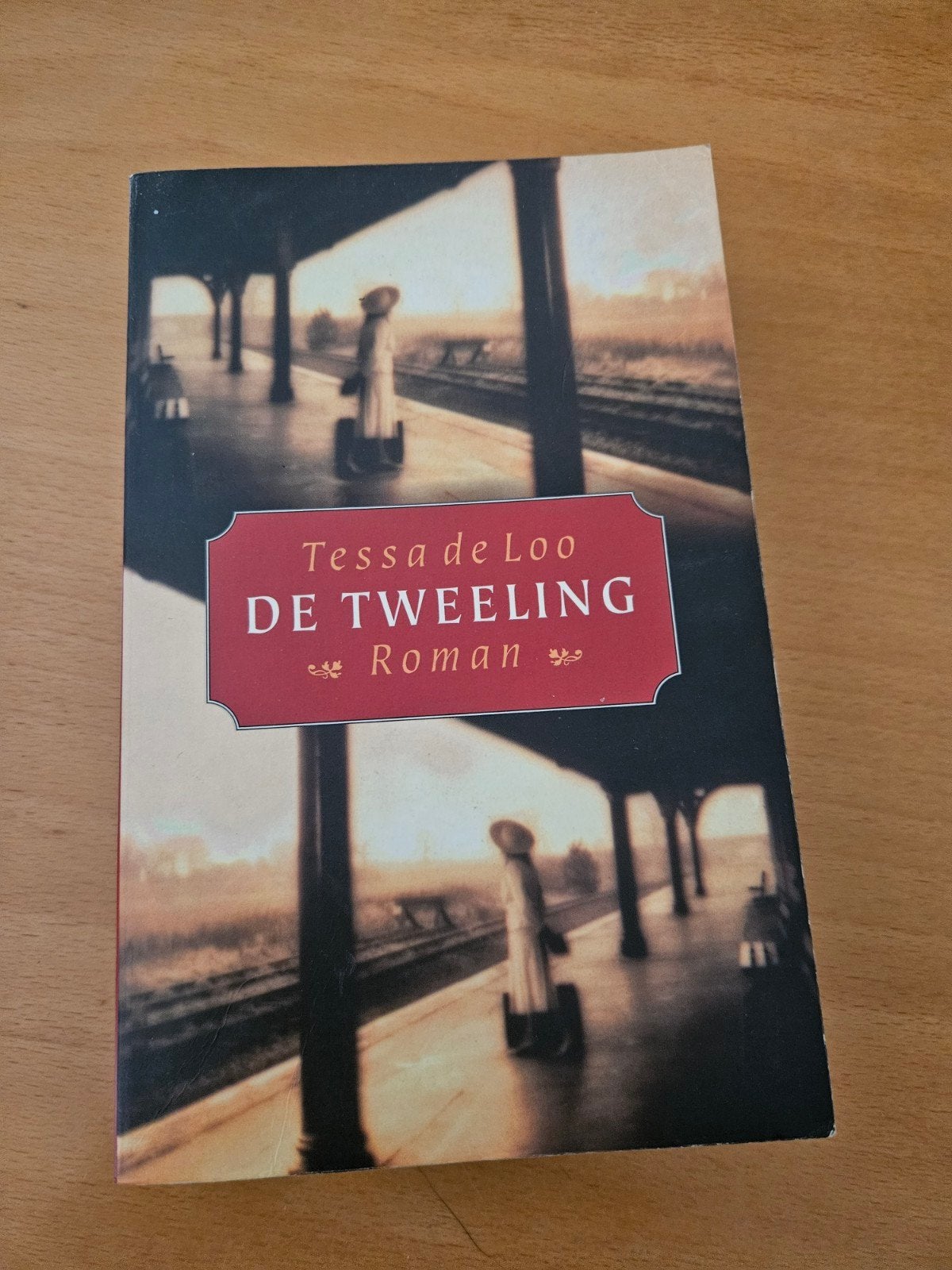 De Tweeling - Tessa de Loo (Roman), Ophalen of Verzenden, Gelezen, Tessa de Loo, Nederland