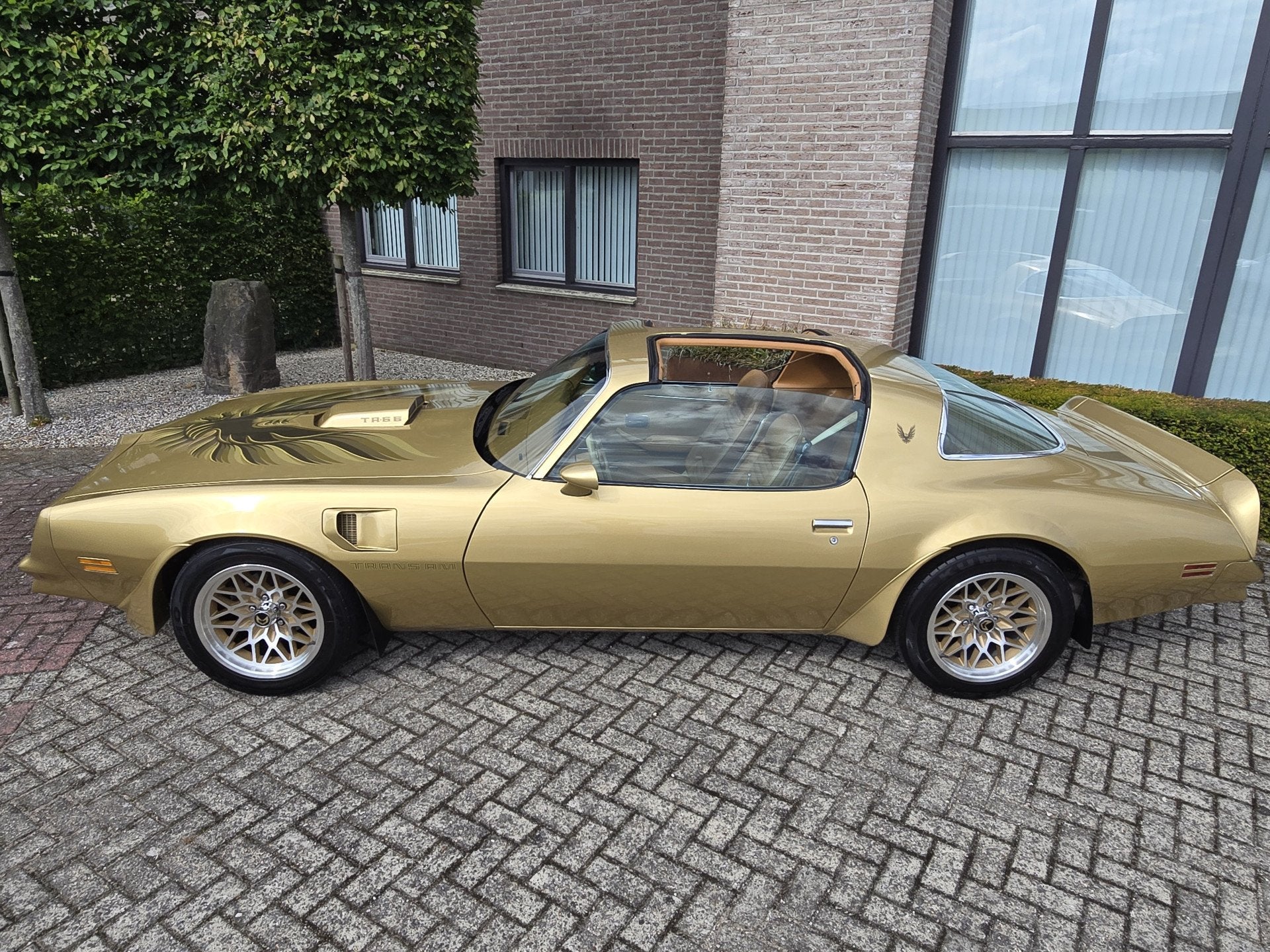 Pontiac Firebird Trans Am 6.6 FW 87 Y88 GOLD SPECIAL EDITION, foto 2