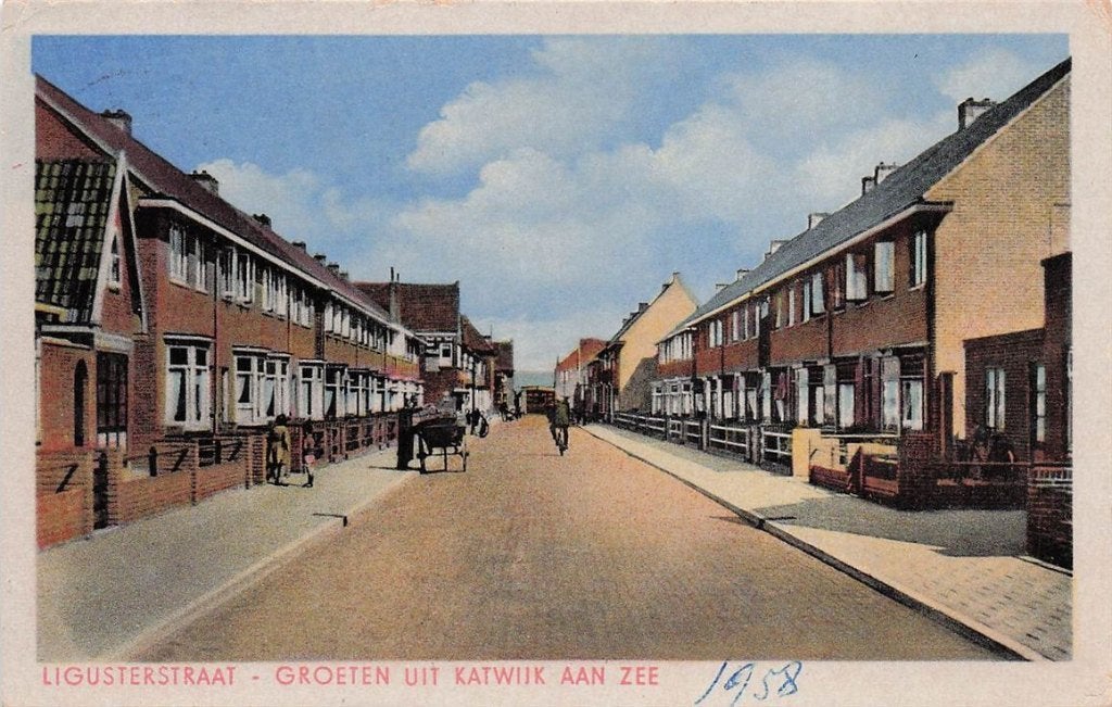 703-392-007 Ligusterstraat Groeten uit Katwijk aan Zee, Verzenden, Voor 1920, Zuid-Holland