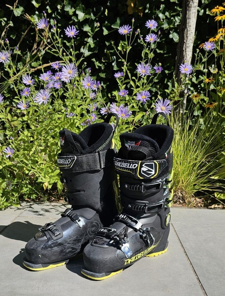 Dalbello Blaze 120 skischoenen, Overige merken, 160 tot 180 cm, Gebruikt, Schoenen