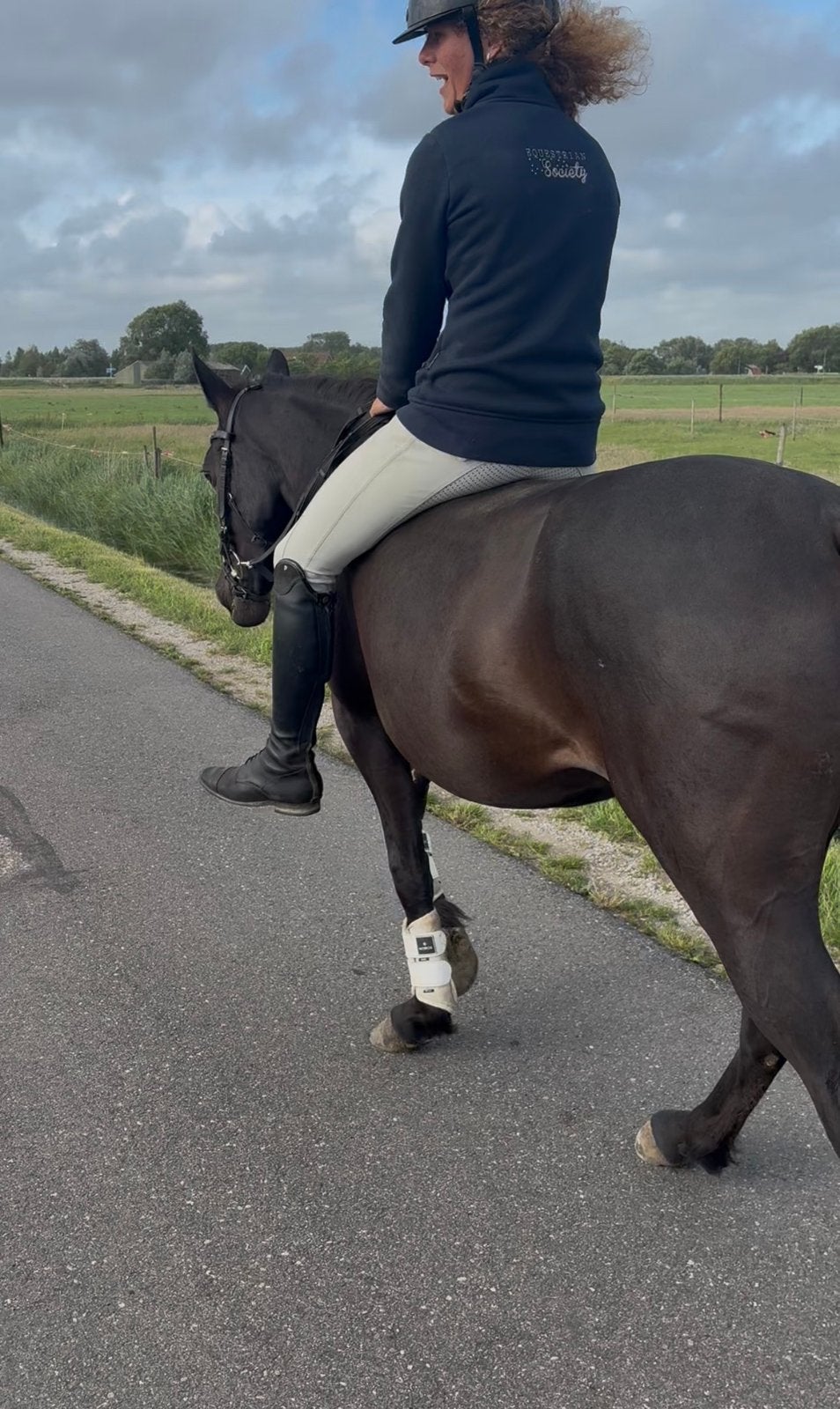 Brave 4 jarige zwarte D pony, Ruin