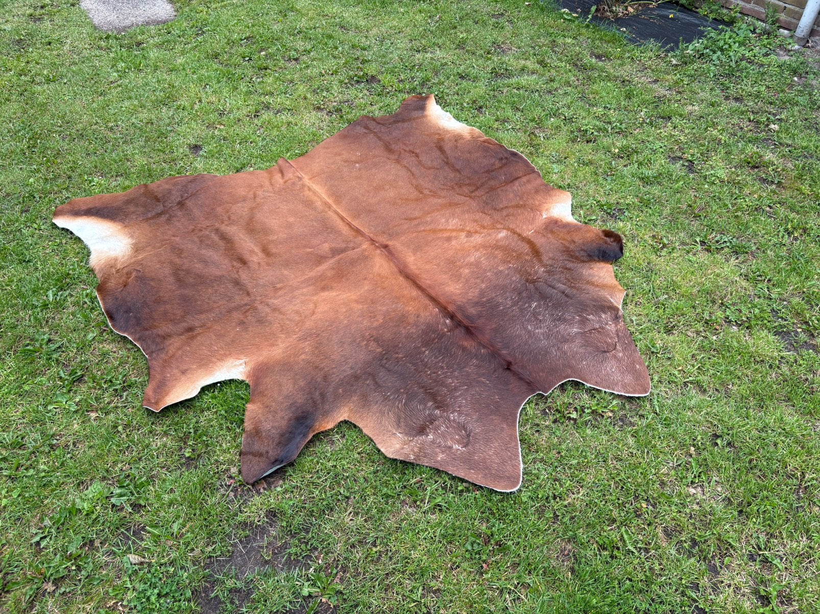Koeienhuid 190cm x 200cm, 150 tot 200 cm, 200 cm of meer, Ophalen of Verzenden, Zo goed als nieuw