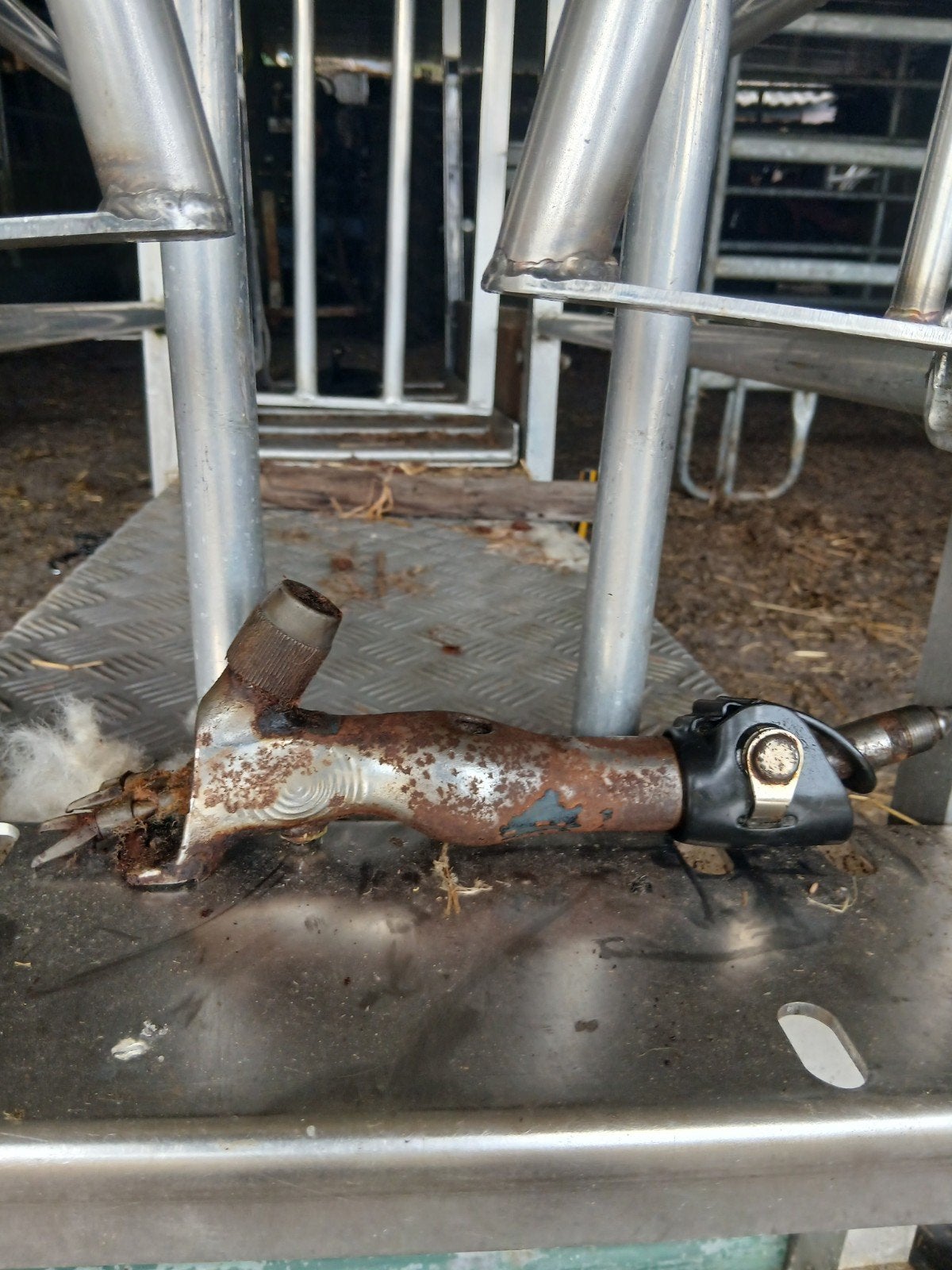 handpiece schapen scheren, Schaap