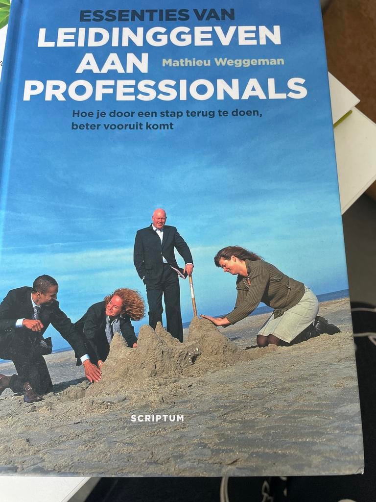 Essenties van Leidinggeven aan Professionals, Ophalen of Verzenden, Gelezen, Management