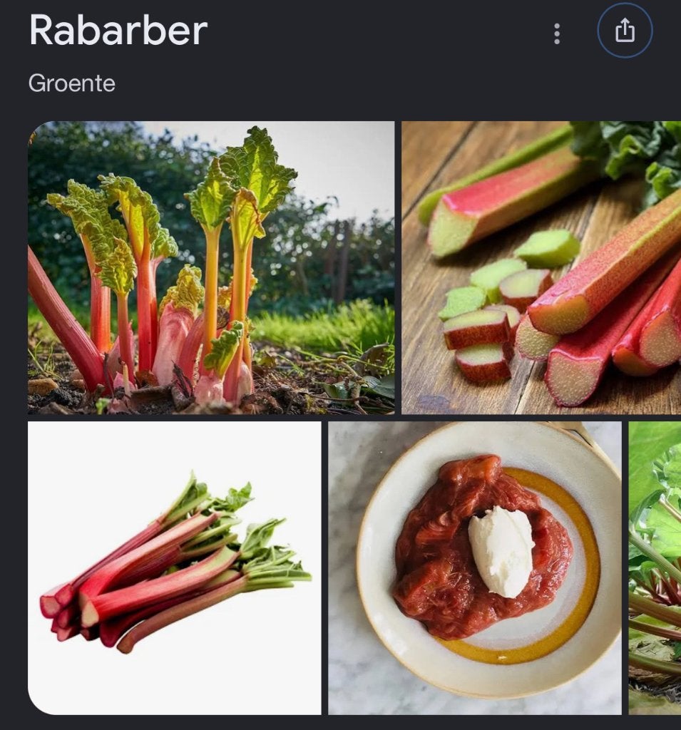 Stekjes van rabarber gezocht, Ophalen of Verzenden, Vaste plant, Overige soorten, Volle zon