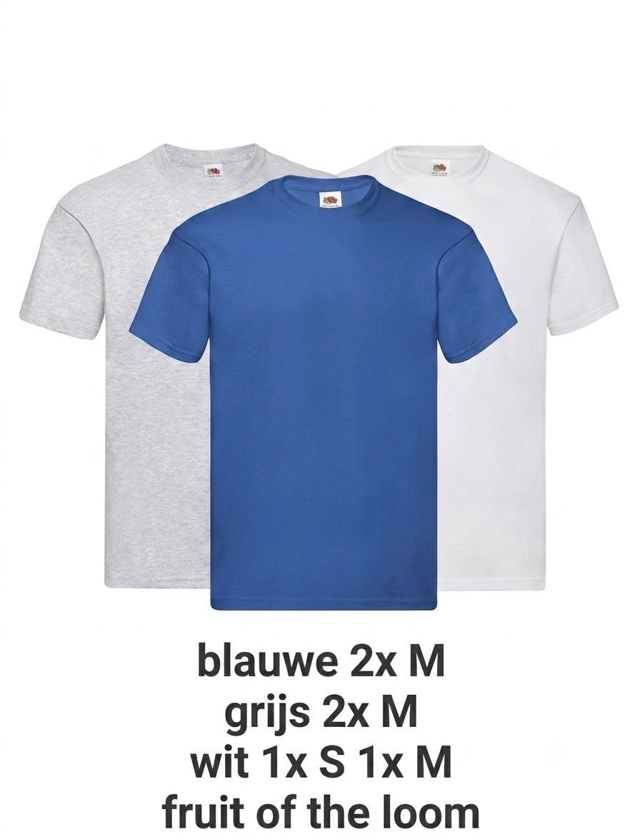 Fruit of the Loom T-shirts: blauw, grijs, wit in diverse mat, Ophalen of Verzenden, Nieuw, Blauw, Korte mouw