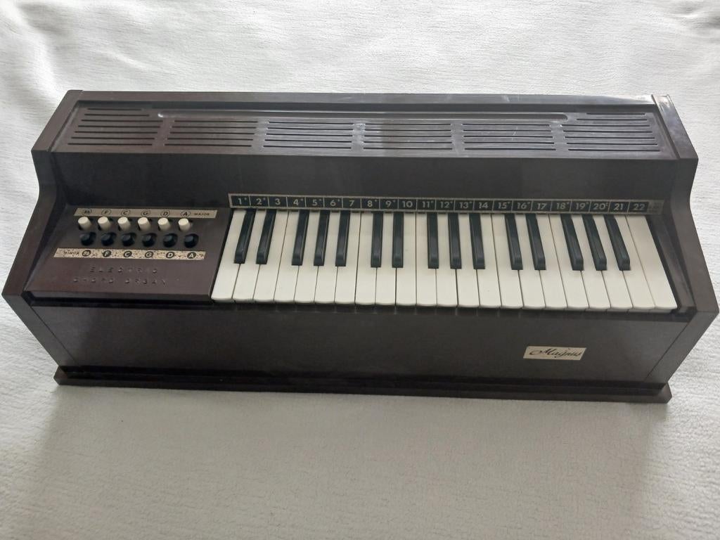 Magnus orgel., Muziek en Instrumenten, Orgels, Ophalen, Gebruikt, 2 klavieren, Orgel