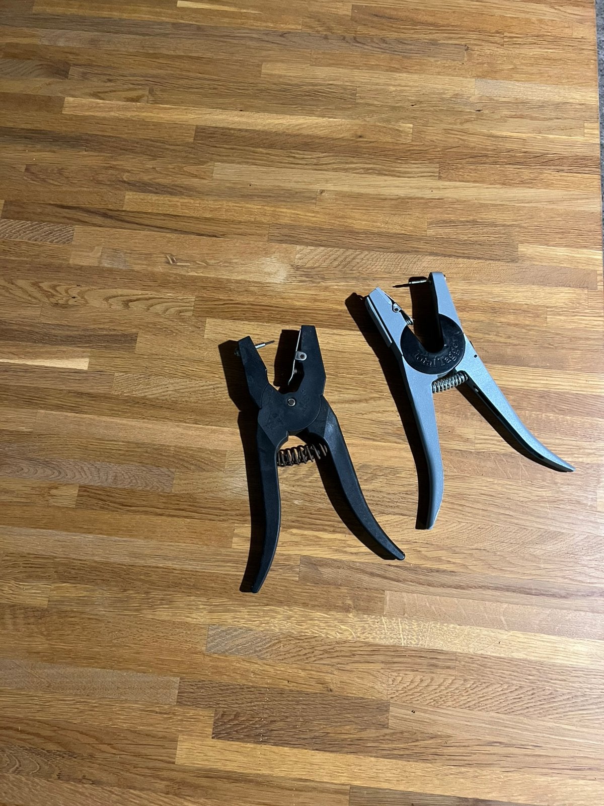 2x oormerktang, Meerdere dieren, Schaap