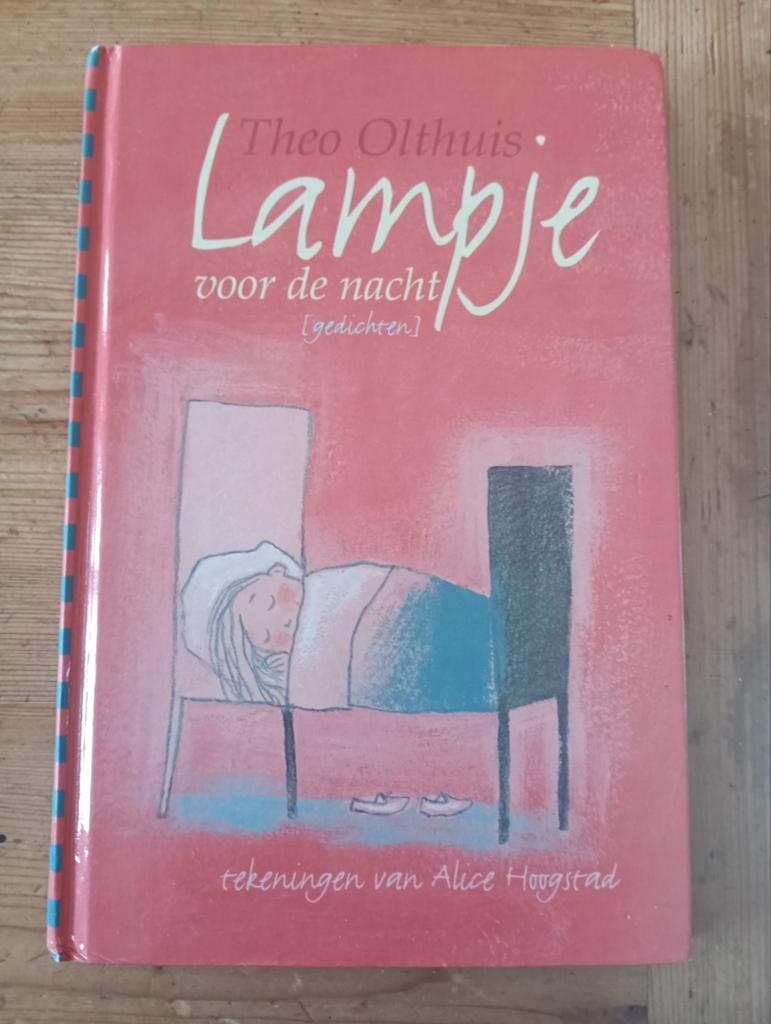 Lampje voor de nacht - Theo Olthuis (Gedichten), Ophalen of Verzenden, Zo goed als nieuw, Theo Olthuis, Eén auteur