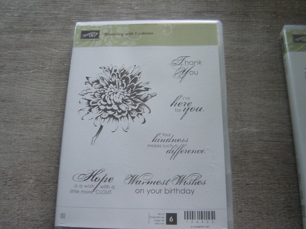 stampin up stempels in doosje beginnend met de letter B, Ophalen of Verzenden, Zo goed als nieuw, Overige typen