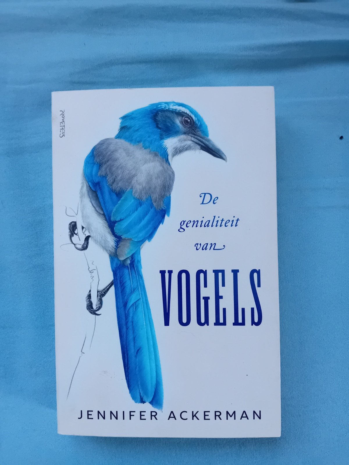 De genialiteit van vogels - Jennifer Ackerman, Ophalen of Verzenden, Nieuw, Vogels, Jennifer Ackerman