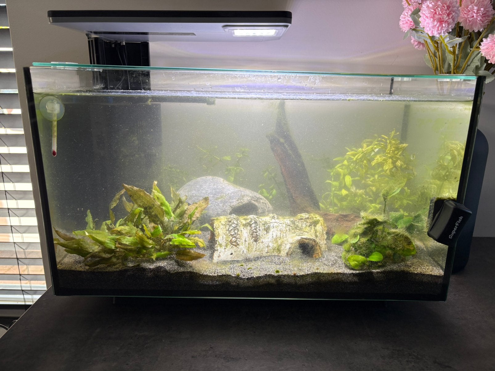 Superfish quadro 40, Ophalen, Gebruikt, Leeg aquarium, Superfish