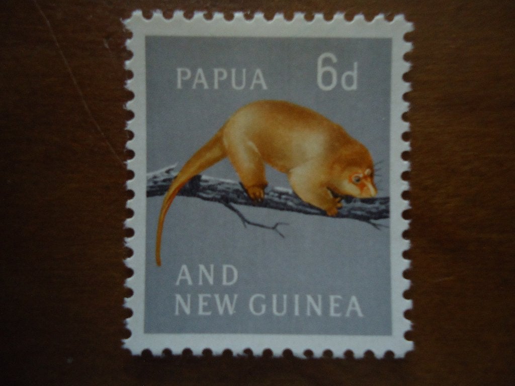 Dier koeskoes PapuaNewGuinea 1963, mi. 32 postfris/ongebruik, Ophalen of Verzenden, Postfris, Dier of Natuur