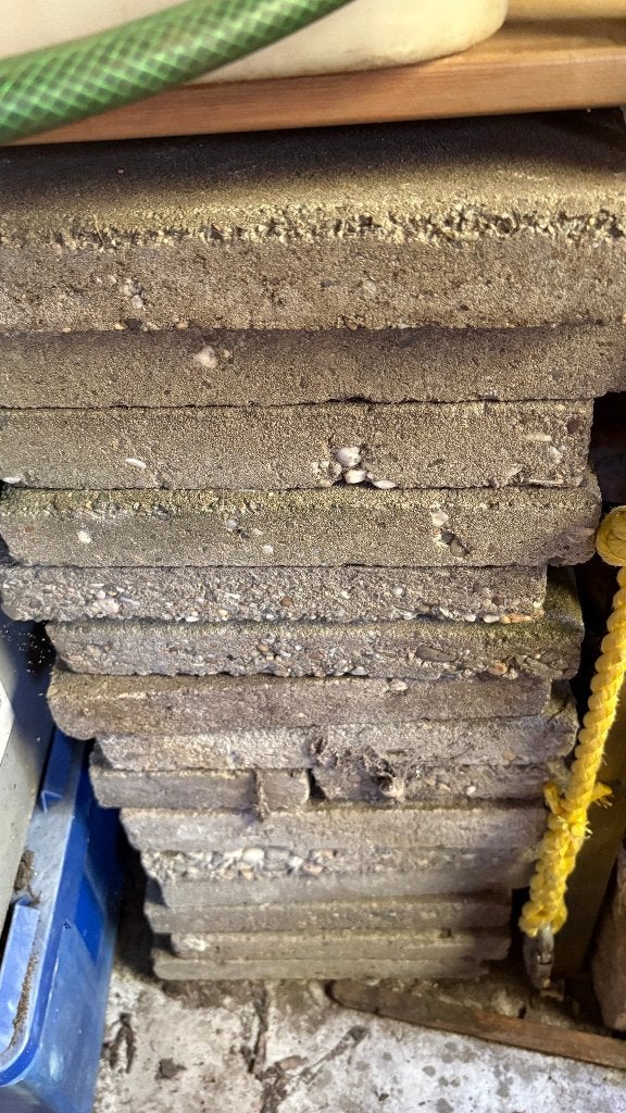 15 stoeptegels 30 x 30 GRATIS, Tuin en Terras, Ophalen, Gebruikt, Minder dan 5 m², Beton