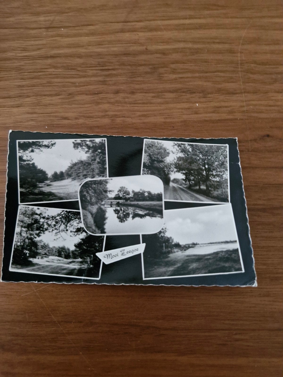 041 Oude ansichtkaart 'Mooi Zeegse' - Gelopen, Ophalen of Verzenden, 1940 tot 1960, Gelopen, Noord-Holland