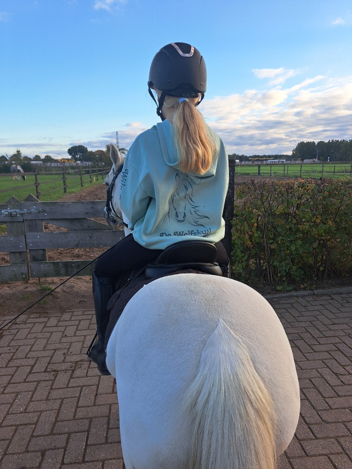 pony stalling aangeboden, Dieren en Toebehoren, Stalling en Weidegang, Stalling, 1 paard of pony