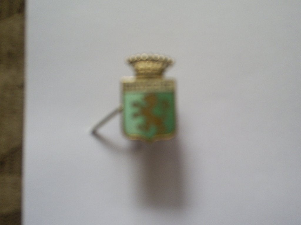 speldje Brussel BRYGGHE emaille met kroontje goudkleur leeuw, Verzamelen, Speldjes, Pins en Buttons, Ophalen of Verzenden, Gebruikt