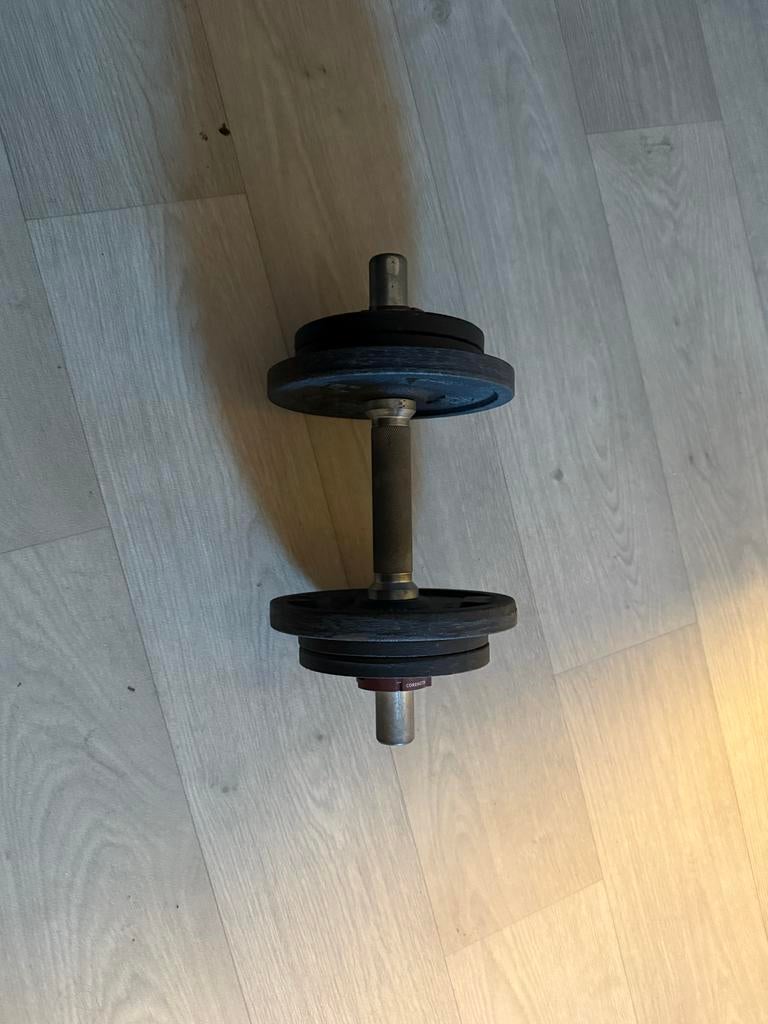 Verstelbare dumbbell met halterschijven, Sport en Fitness, Fitnessmaterialen, Ophalen of Verzenden, Gebruikt, Armen, Dumbbell