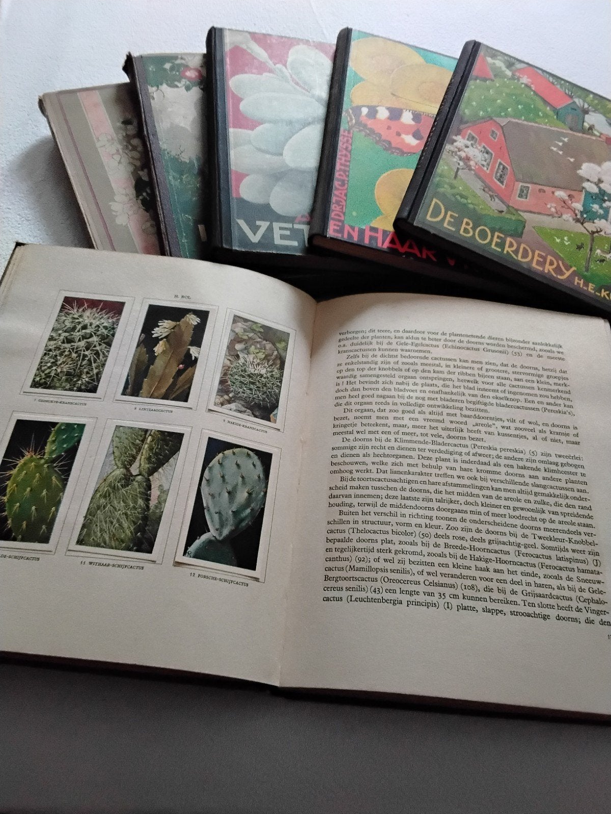 Vintage boeken over planten en fotografie - set van 6, Boeken, Ophalen, Gelezen, Fotografie algemeen, Diverse auteurs