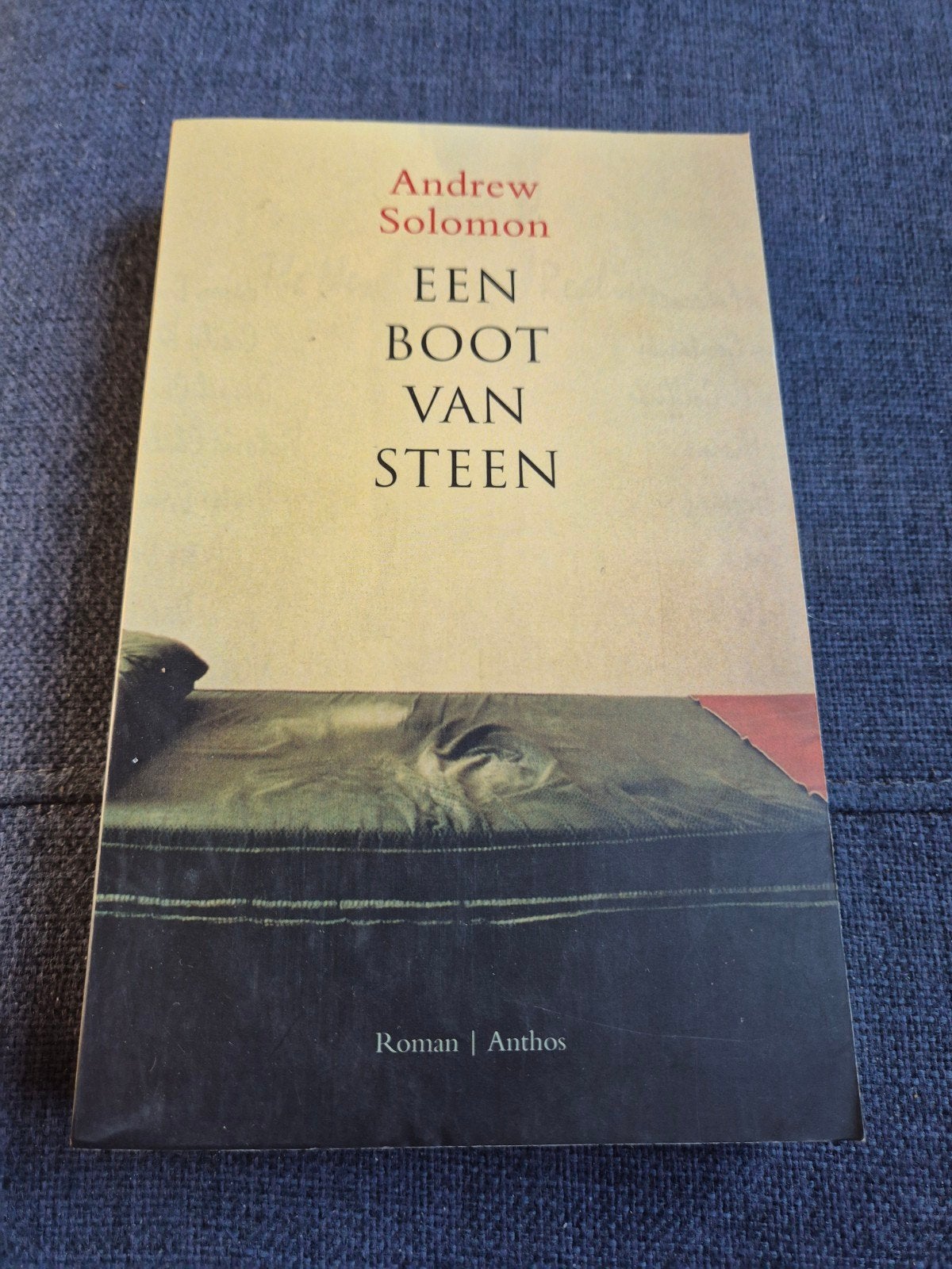 Andrew Solomon - Een boot van steen (Roman), Ophalen of Verzenden, Zo goed als nieuw, Andrew Solomon, Nederland