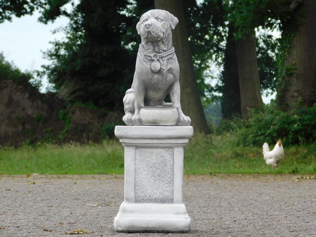 Hond op Sokkel - 68 cm - Steen, ., Ophalen of Verzenden, ., .