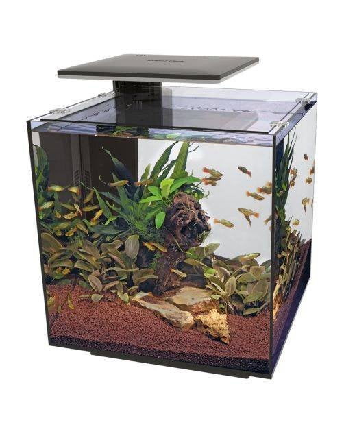 Te koop aquarium, Dieren en Toebehoren, Vissen | Aquaria en Toebehoren, Ophalen, Zo goed als nieuw, Leeg aquarium, Superfish