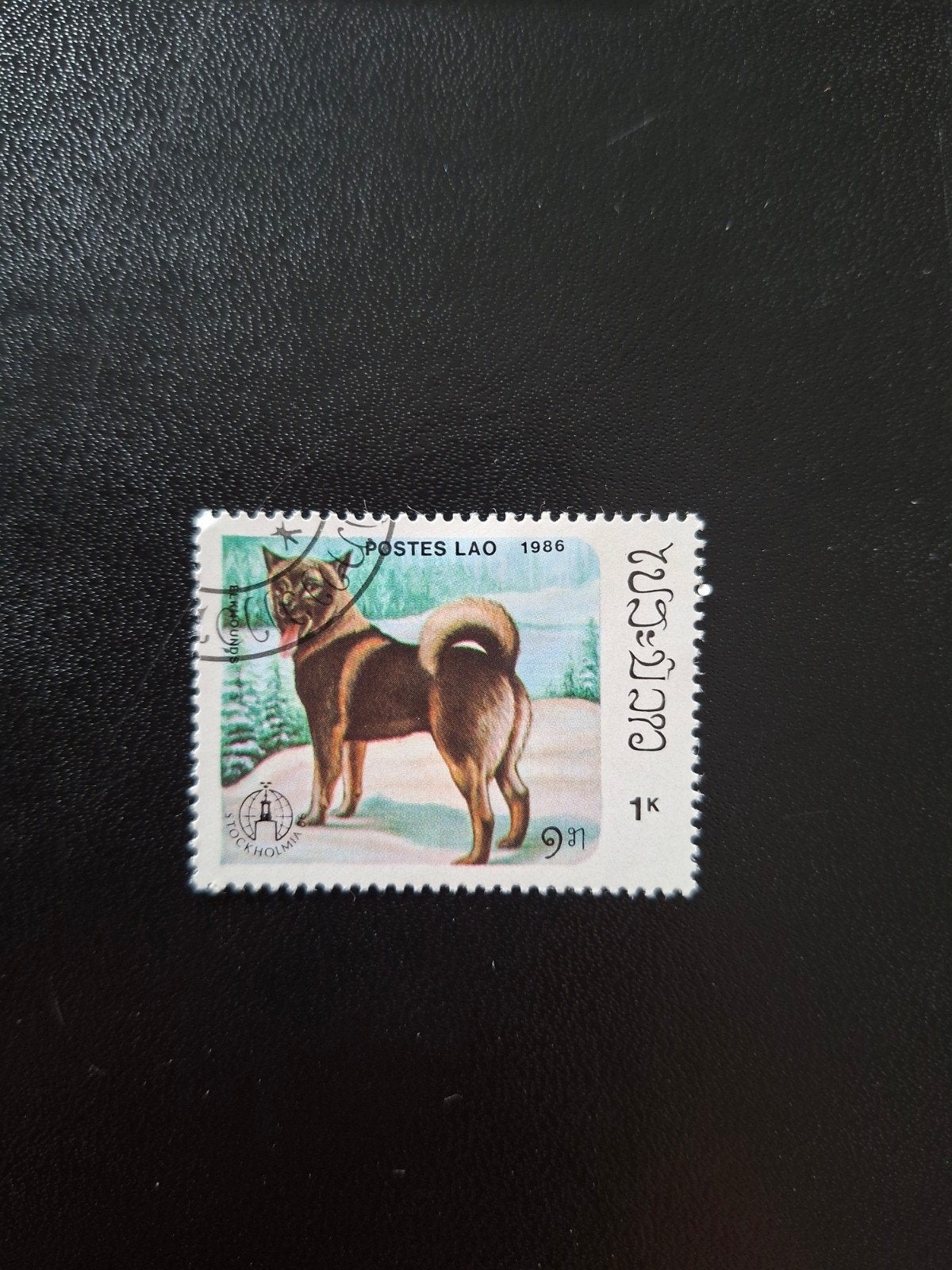 Laos.  Hond., Ophalen of Verzenden, Dier of Natuur