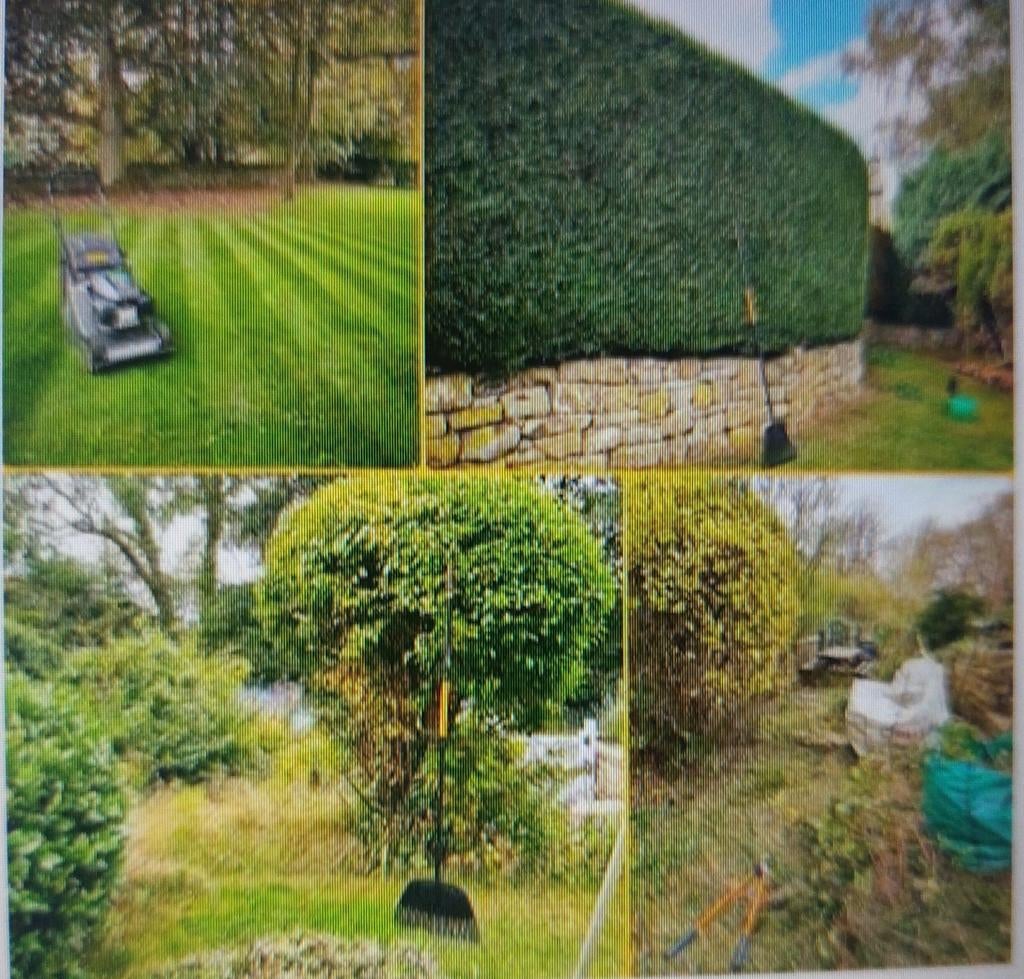 hulp tuin gras maaien, heg knippen, Tuin en Terras, Planten | Bomen, Ophalen, Bloeit niet, Overige soorten