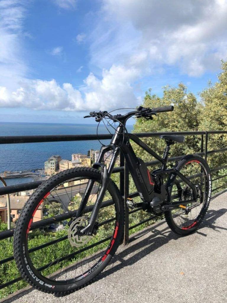 Olmo Elektrische Full Suspension MTB Shimano STEPS, Overige merken, Gebruikt, Ophalen of Verzenden, 51 tot 55 cm