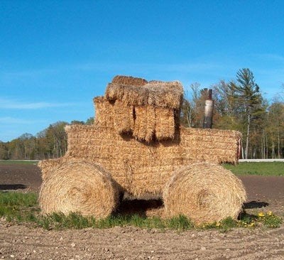 Op zoek naar oud hooi., Ophalen of Verzenden, Vee