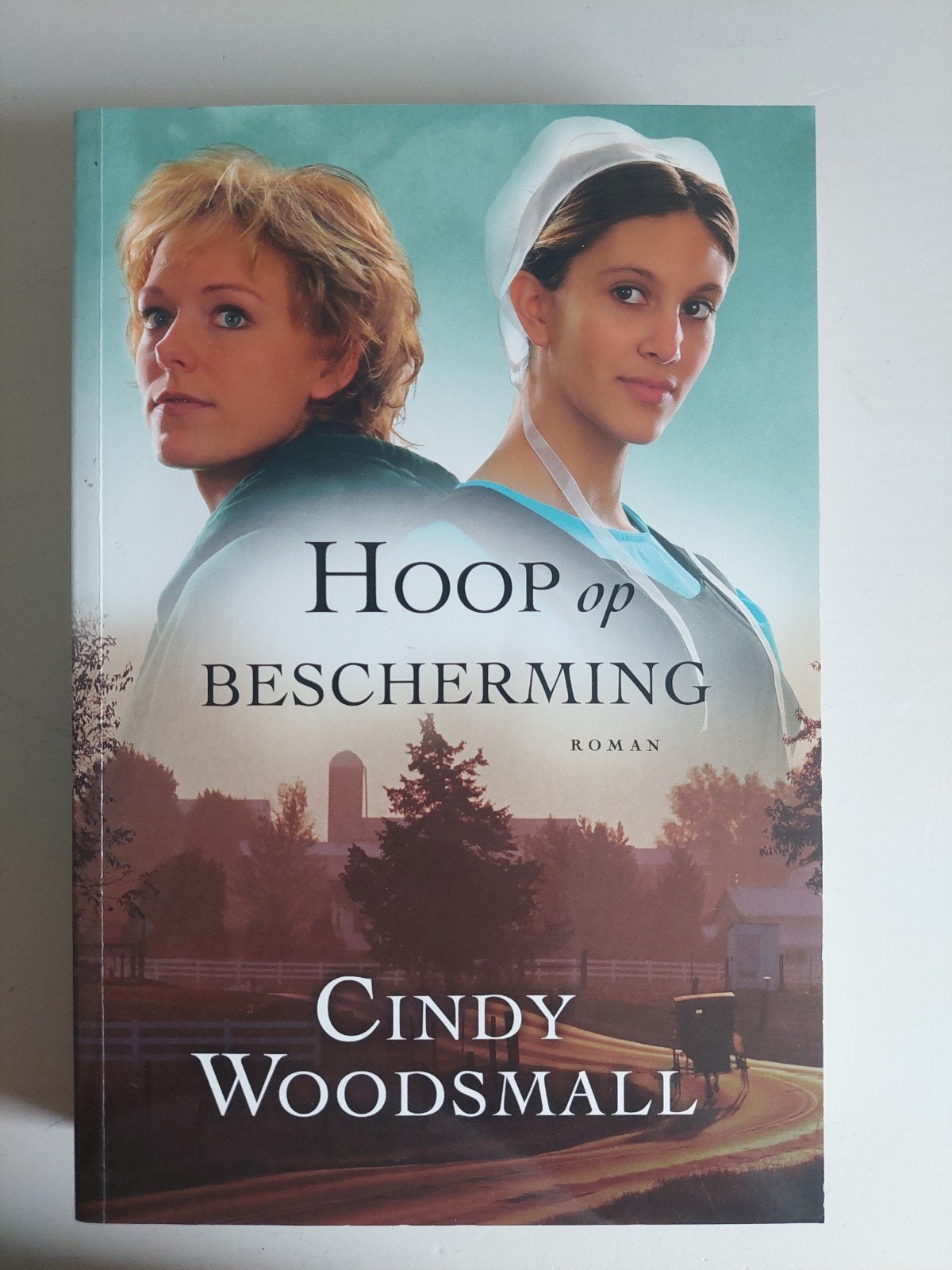 Hoop op Bescherming - Cindy Woodsmall (Roman), Boeken, Romans, Ophalen of Verzenden, Gelezen, Cindy Woodsmall, Amerika