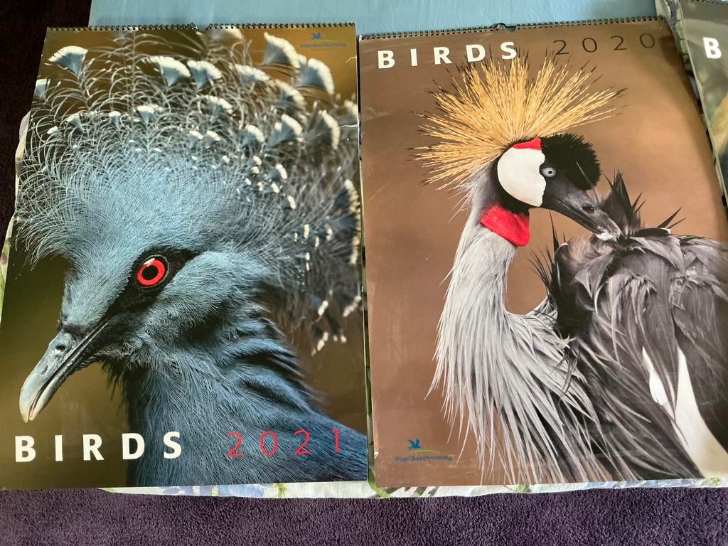 5 Vogelkalenders, Ophalen, Film en Tv