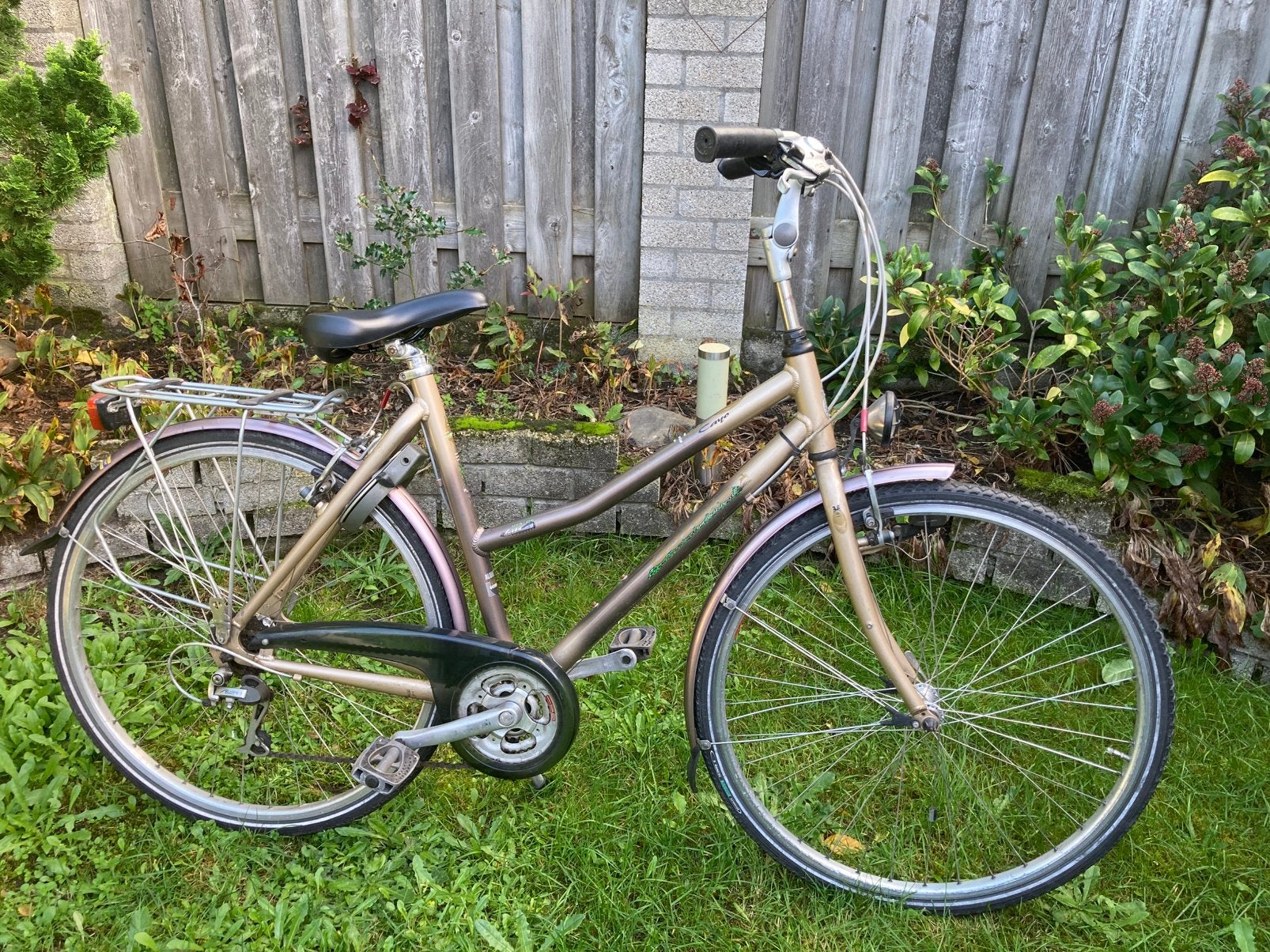 Gazelle Caya, Ophalen, 28 inch, Meer dan 20 versnellingen, Gazelle
