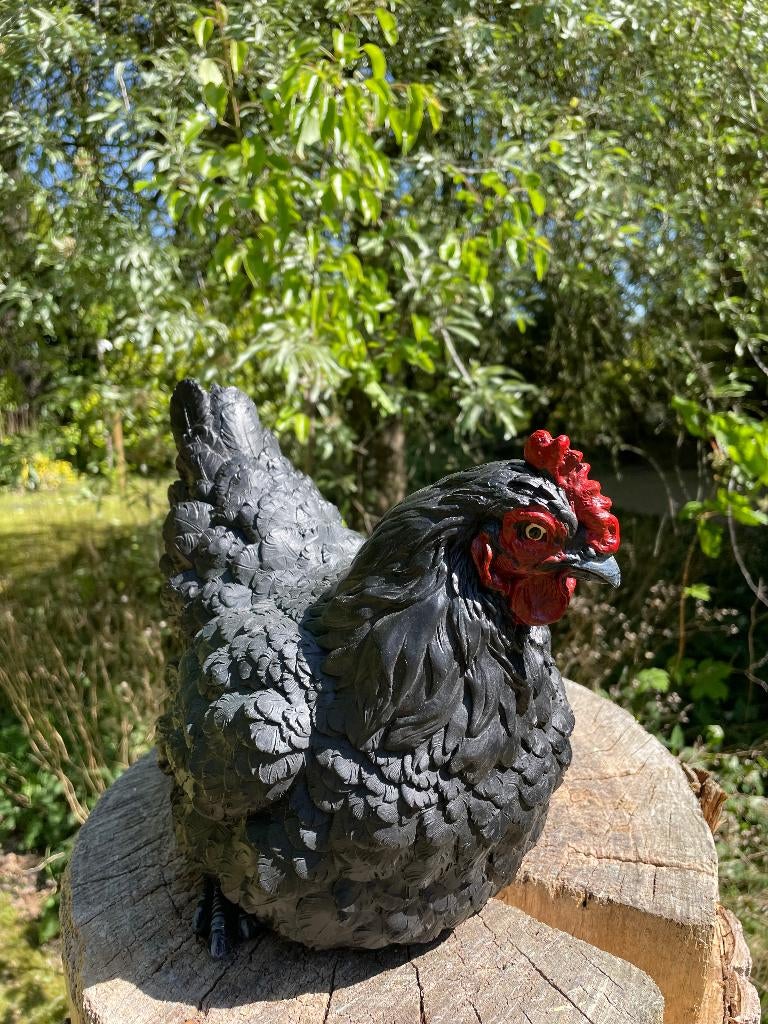Beeld kip zwart, tuin, vijver, gazon, boerderij 30cm, Ophalen, Nieuw, Kunststof, Dierenbeeld