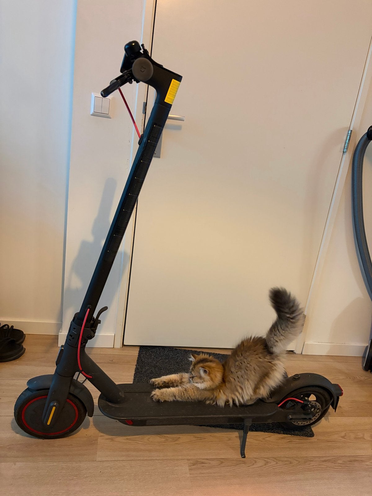 Xiaomi Mi Essential Elektrische Step - Zo goed als nieuw, Ophalen of Verzenden, Zo goed als nieuw, Elektrische step (E-scooter)
